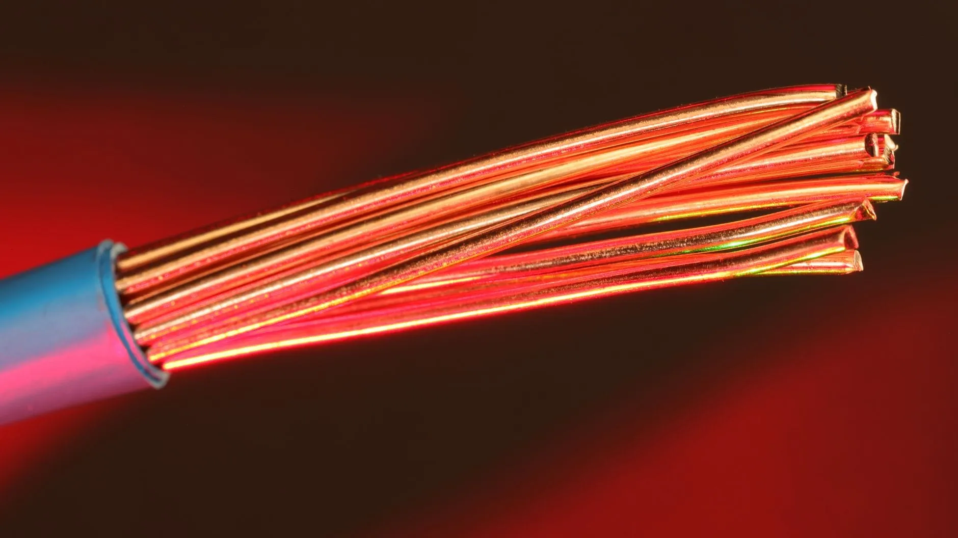 A macro view of stranded copper conductors emerging from stripped blue cable insulation, lit red against a dark background.