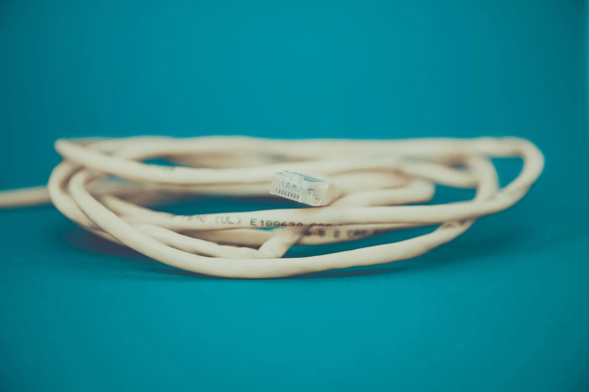 A cream ethernet cable coiled loosely on a teal background, its RJ-45 connector unplugged and facing the camera.