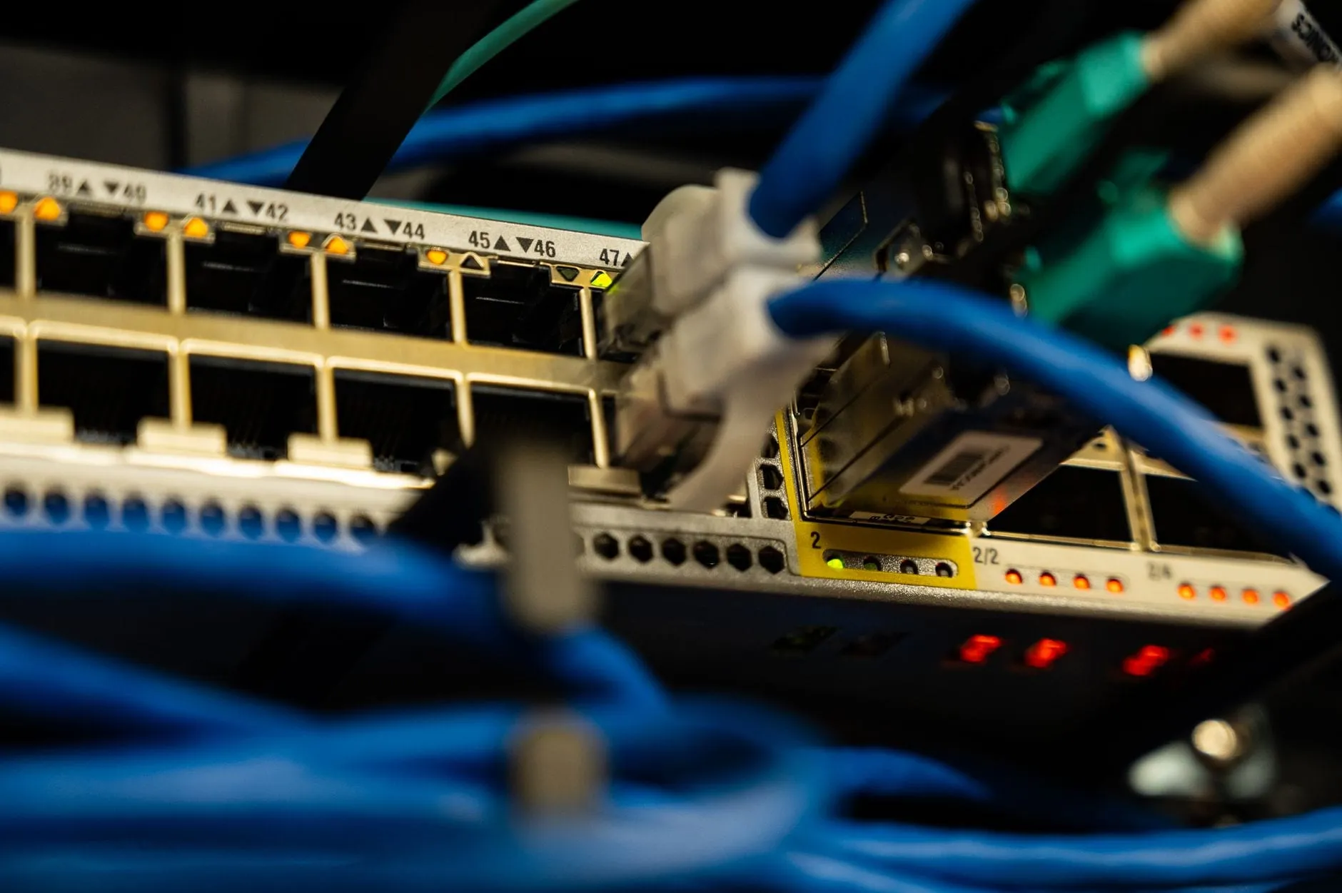 A network switch photographed close up, its numbered ports filled with blue patch cables and status lights lit along the front edge.